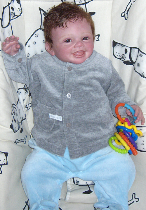 Reborn baby doll - click on the photos to see a gallery with each reborn baby doll