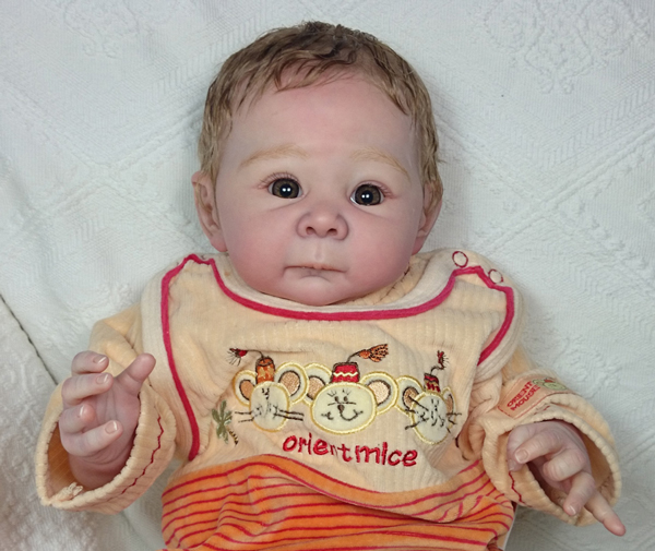 Reborn baby doll - click on the photos to see a gallery with each reborn baby doll